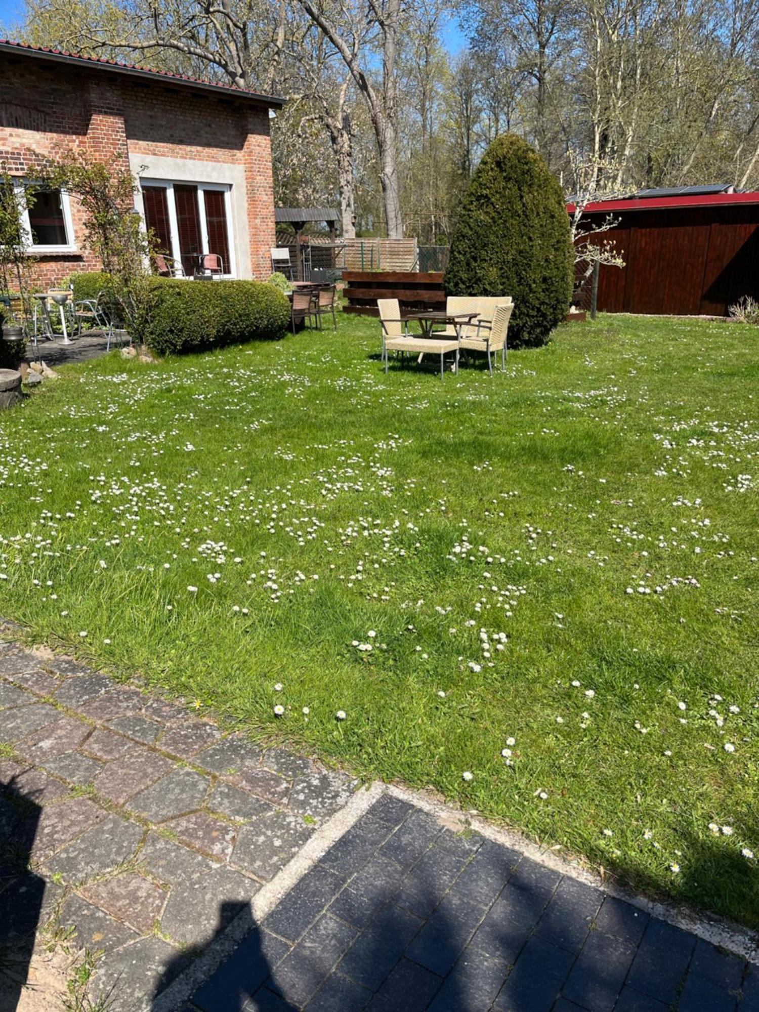 Ferienwohnung Holtz 7 Mesekenhagen エクステリア 写真